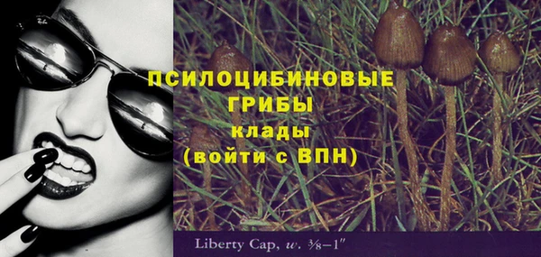 дурь Верхний Тагил
