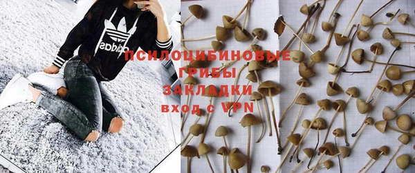 прущая мука Верея