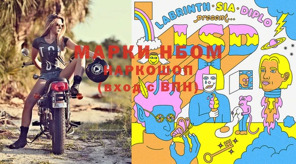 прущая мука Верея