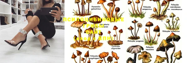 дурь Верхний Тагил